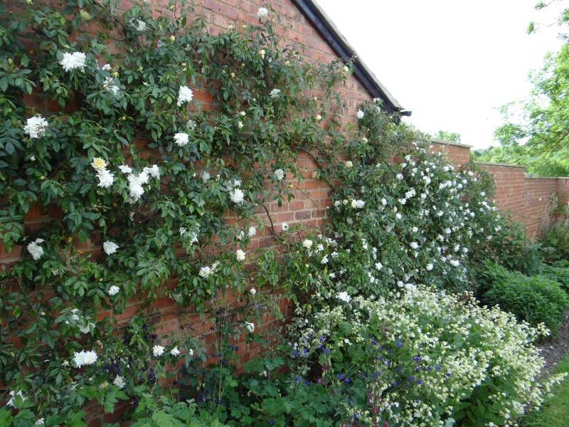 Garden Cottage & Walled Kitchen Garden